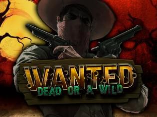Wanted Dead Or a Wild